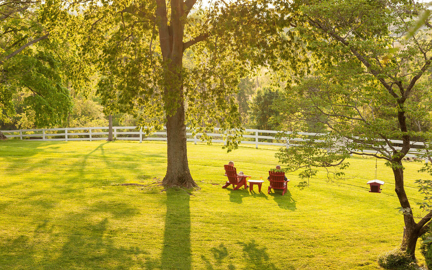 Relax in an Adirondack chair as you gaze at our 80 acres of woodland and wildlife