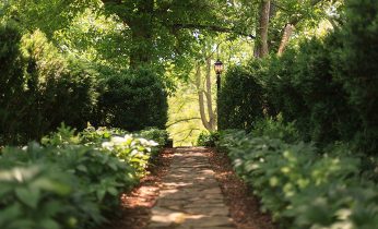 Romantic pathways at our Virginia Wine Country bed and breakfast