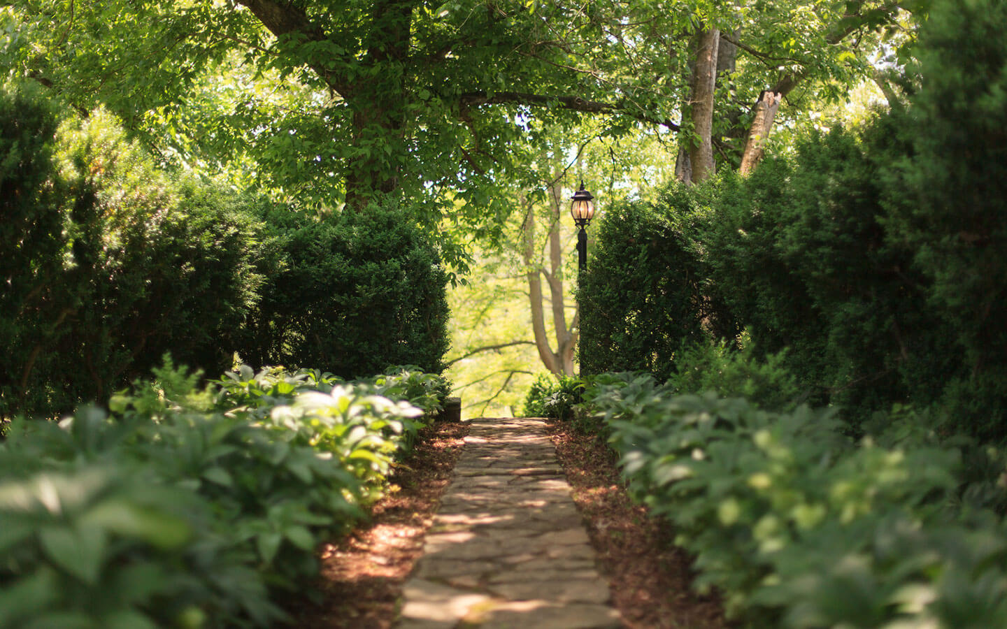 80 acres of natural trails at our historic Virginia bed and breakfast